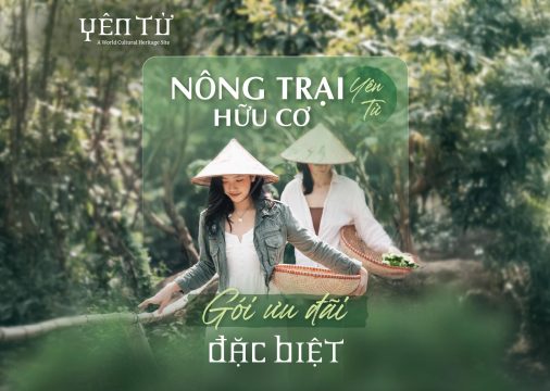 Các gói ưu đãi tại Nông trại hữu cơ Yên Tử